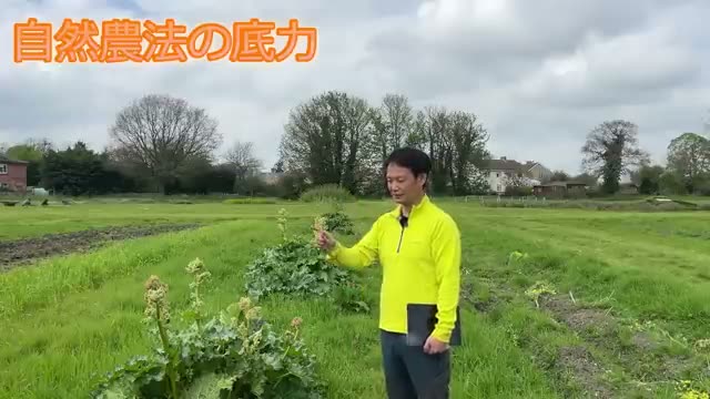 2. 種が気候を記憶する|トウモロコシの自家採種と育苗