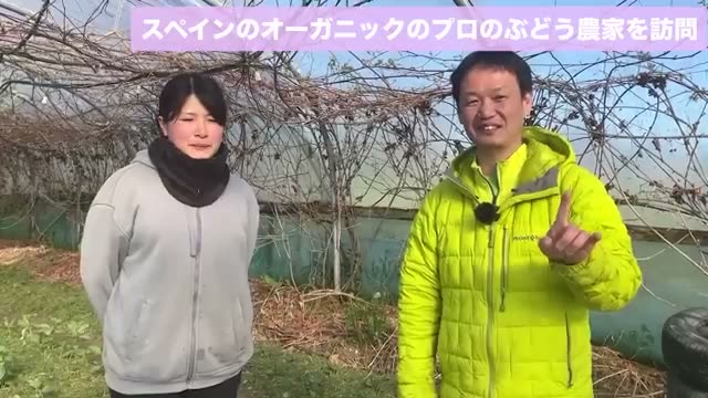 一般的なオーガニック栽培の11〜22倍に達した収穫量