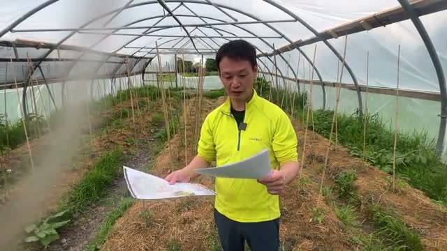 わずか10日間で見せる驚異的な成長スピード