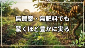自然栽培30年のキウイと若き挑戦
