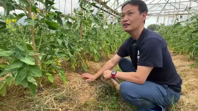 2. 病気を防ぐ「水やりの作法」