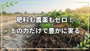 無肥料・無農薬14年！土の力で育つ畑