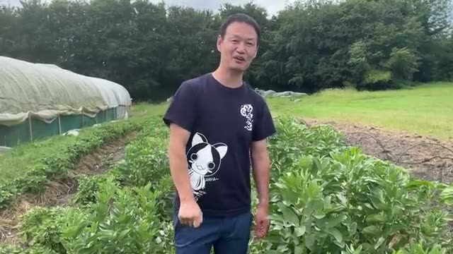 土と種が清浄であれば、虫が来ても作物は枯れない