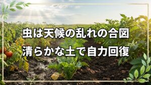 自然農法14年でも虫が発生する理由