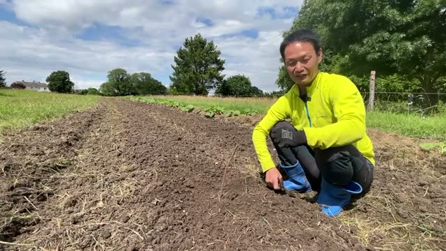 4. 地下茎を根本的に克服する「自然農法」の極意
