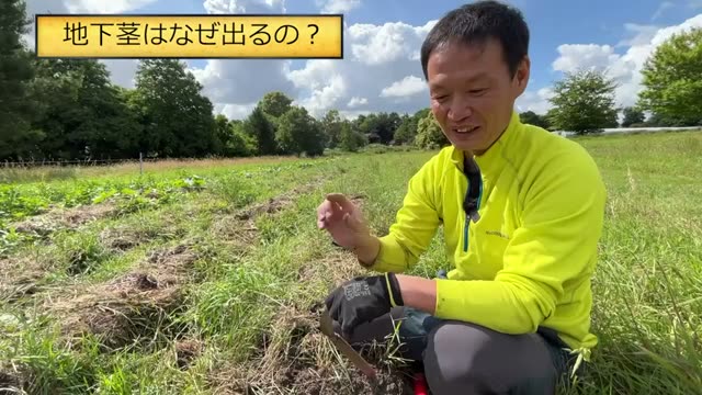 1. なぜ地下茎の草が生えるのか?雑草は敵ではなく「味方」