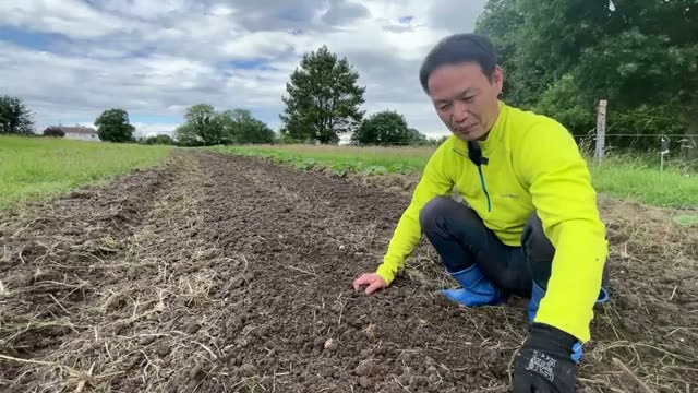 3. 土が変わると生える草が変わる!驚きの実体験
