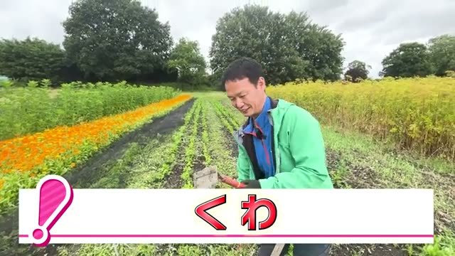 20年愛用!作業効率を劇的に変える「道具の選び方と身体の使い方」