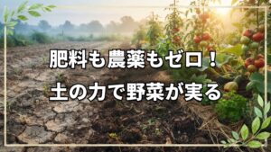 肥料も農薬も使わず14年。土の力を引き出す自然栽培の菜園ツアー
