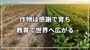 自然農法22年の歩みと普及への転換点