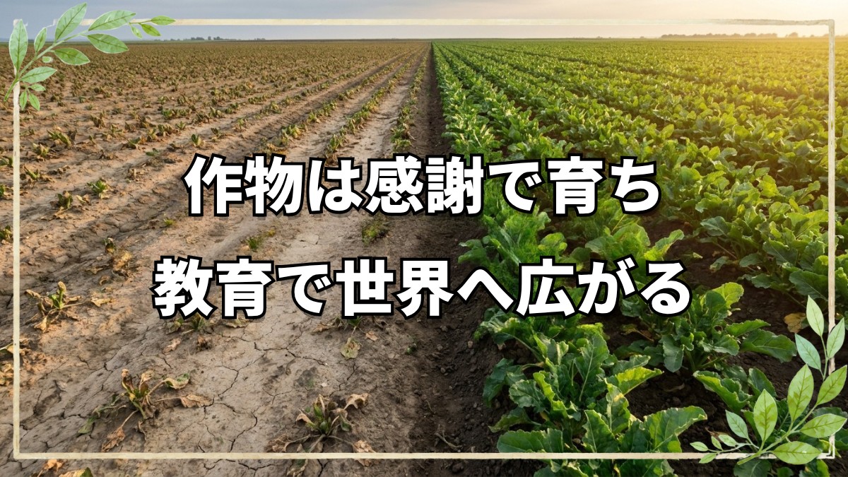 自然農法22年の歩みと普及への転換点