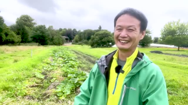 堆肥を効果的に使うポイントと代用策