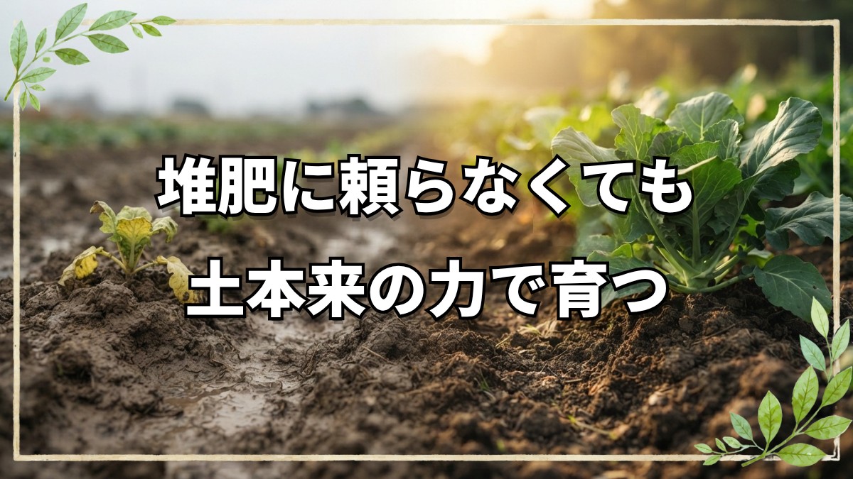 堆肥の落とし穴と土本来の力を活かす栽培