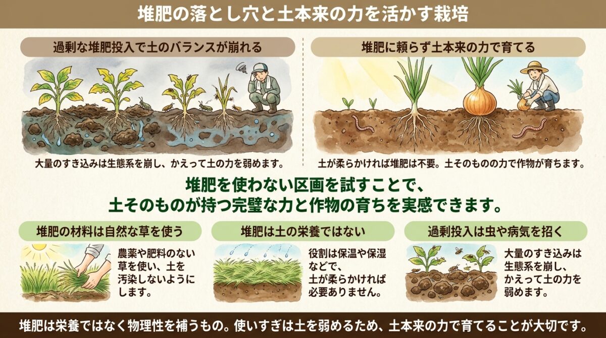堆肥の落とし穴と土本来の力を活かす栽培