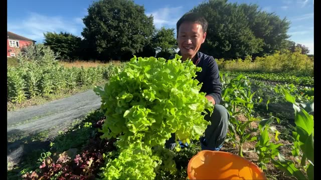 最も警戒すべきは耕起ではなく「肥料と農薬」