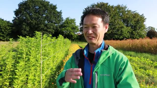 今橋さんが土を耕す実務的な理由