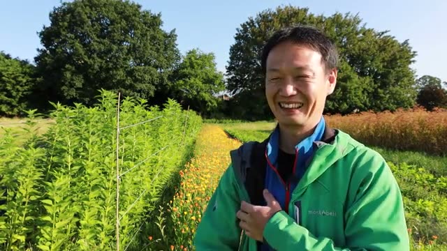 耕すか耕さないかは実践者の自由
