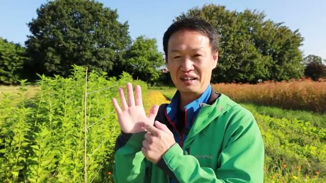科学が把握している土の生態系はわずか1パーセント