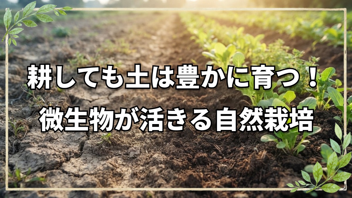 自然栽培の土は耕す？耕さない？