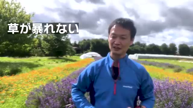 風の草刈りがもたらす土と草への効果