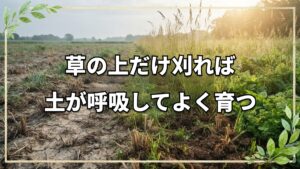 鎌で土を育てる「風の草刈り」