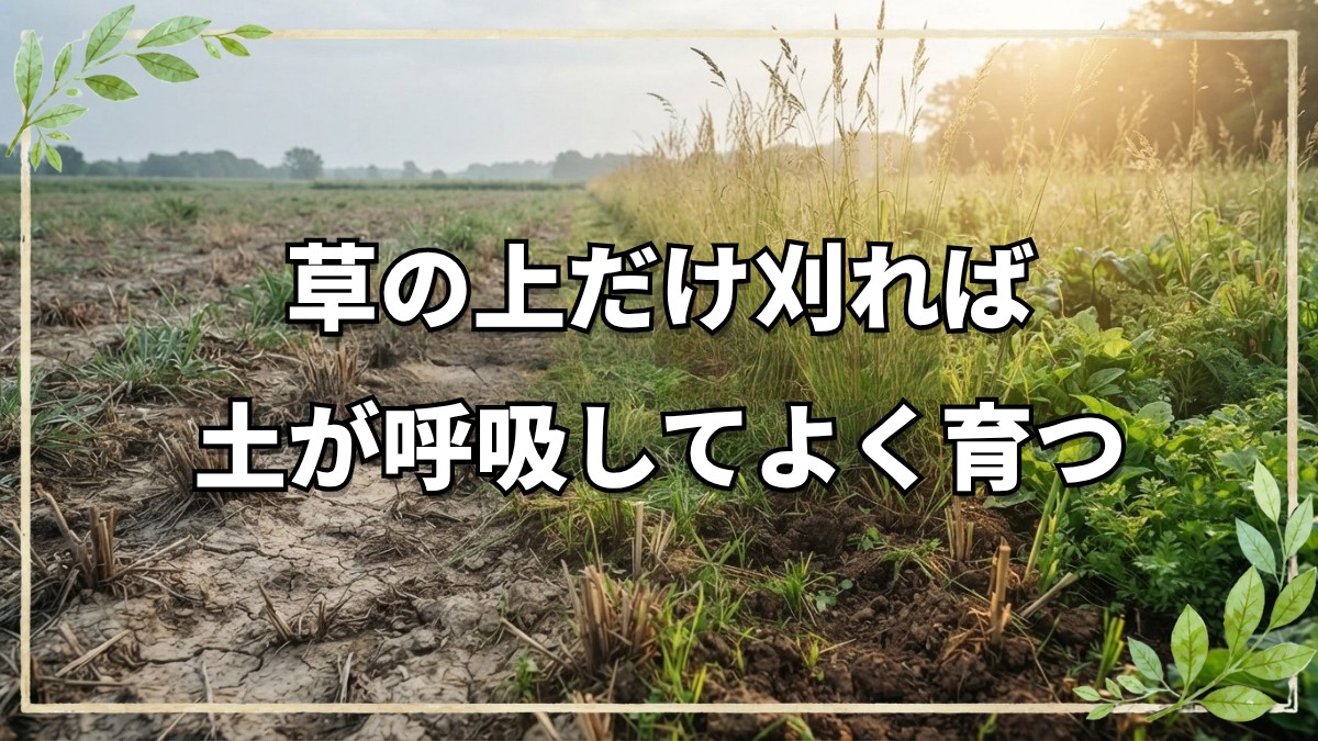 鎌で土を育てる「風の草刈り」