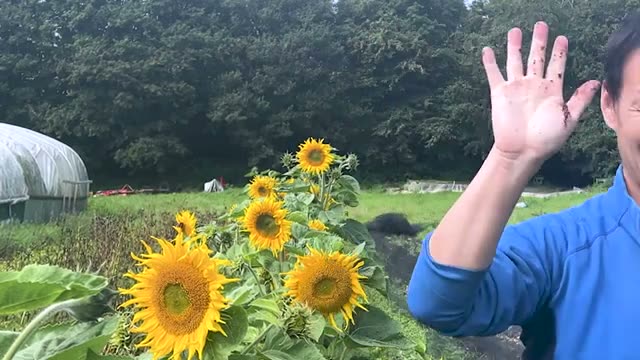 4. 目指すは「土のみ」の世界:土を信じ、愛すること