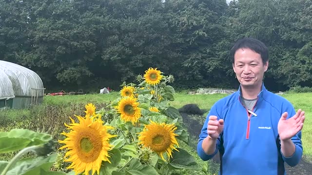 1. 技術面での違い:資材・種・作付けへのアプローチ