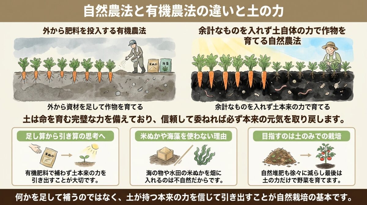 自然農法と有機農法の違いと土の力