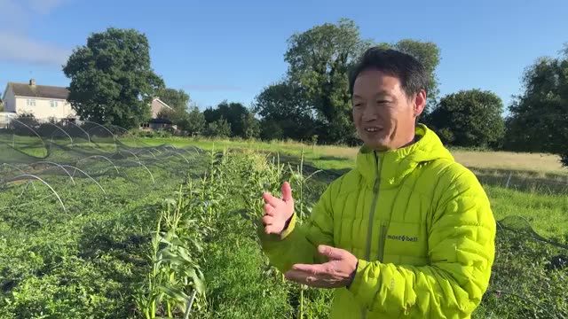4. 病気や虫に負けない野菜作りの本質
