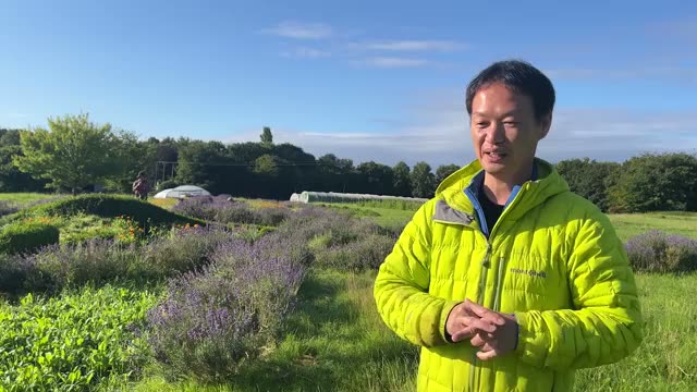 2. 虫や病気が出たときの解決策は「排除」ではなく「受け止めと感謝」