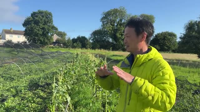 3. 実証された奇跡の体験談
