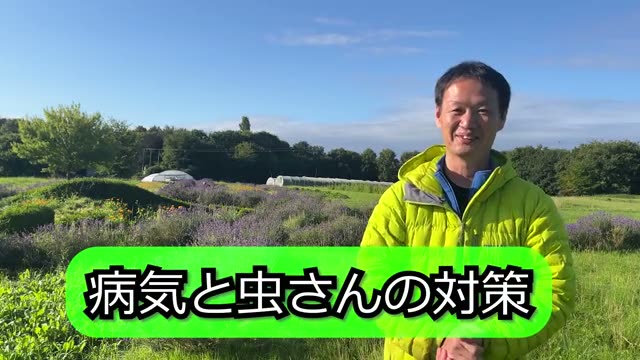 1. 虫や病気がやってくる「2つの根本原因」