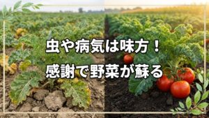 虫や病気は味方！受け入れ感謝する自然栽培