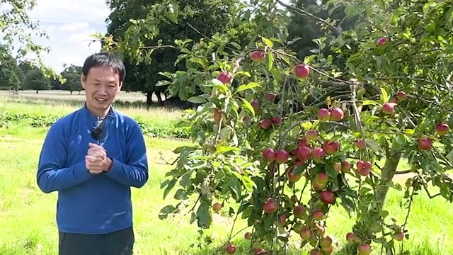 2. 意識と対話がもたらす驚きの実例