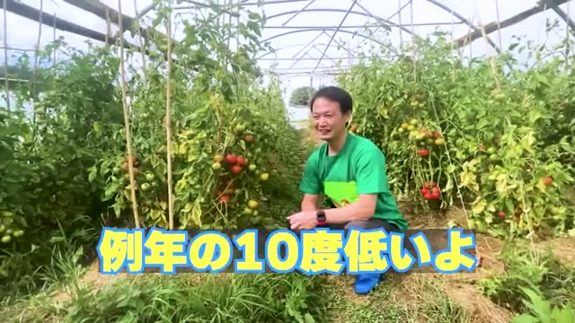 異例の冷夏でも大豊作!堆肥すら入れない土のポテンシャル