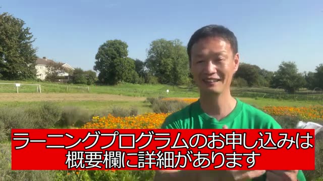 自家採種用トマトの選び方と下準備