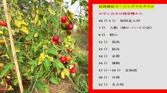春の長雨と7月の冷夏という厳しい栽培環境
