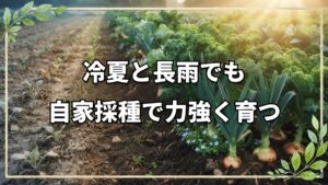 冷夏と長雨を越える土の力｜自然栽培14年目の畑に見る野菜の適応と自家採種