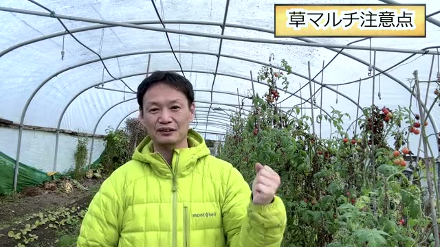 EM菌などの微生物資材やコンポストティーは使うべき?