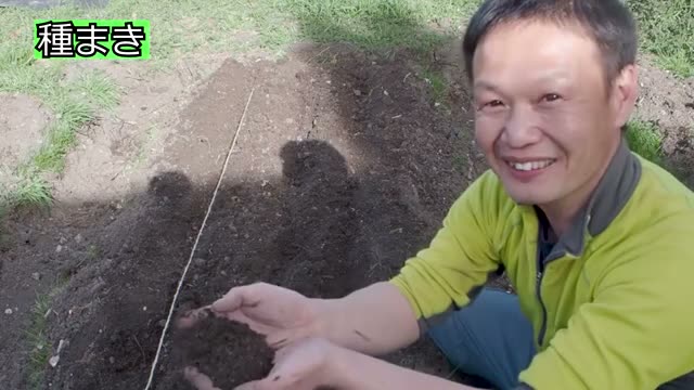 発芽率を高める種まきと覆土のコツ
