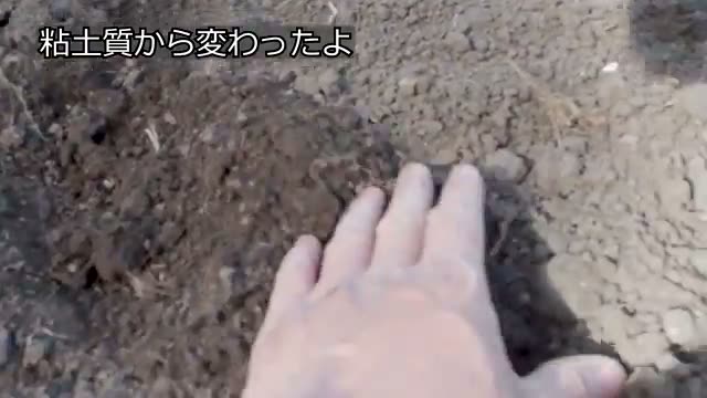 ニンジン栽培に適した畝の準備