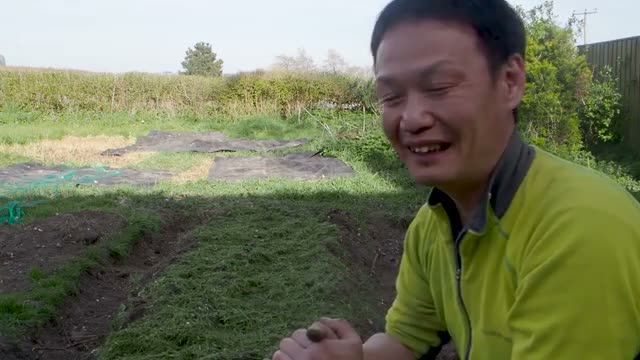 広い面積で作付けする場合の省力化手順