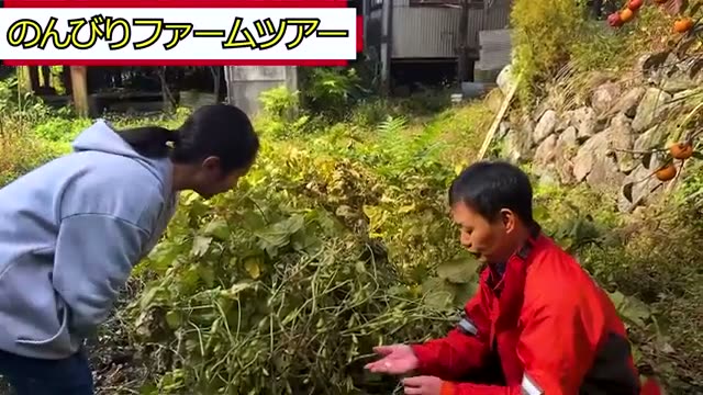 予期せぬ時期の種まきから実を結んだ大豆と秋冬野菜
