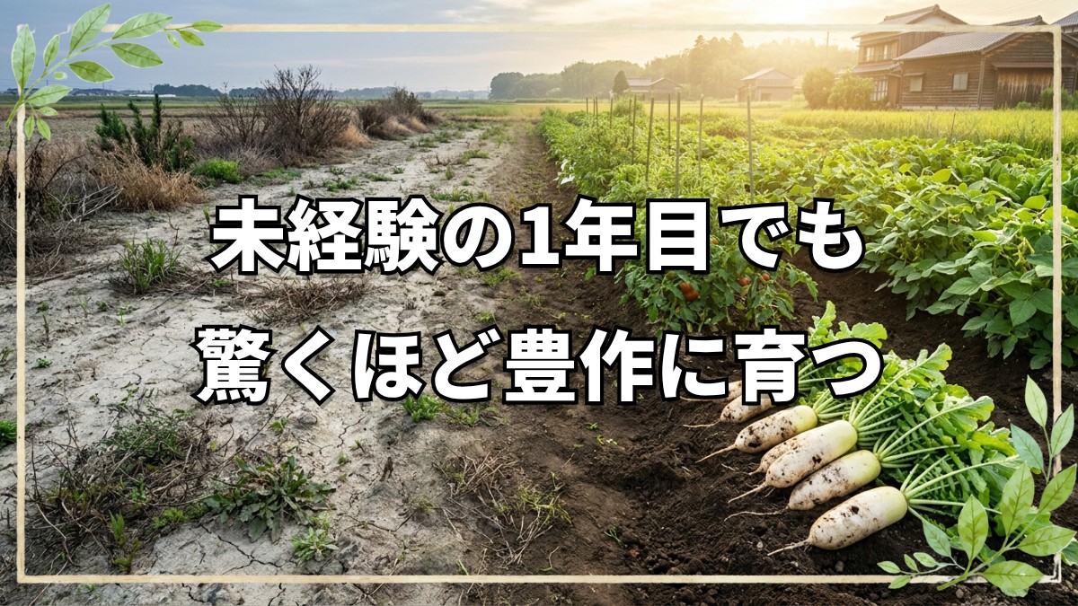 岐阜で挑む就農1年目の自然農法
