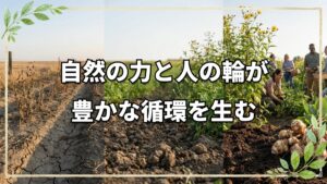 自家採種菊芋と人が集まる自然農園の循環