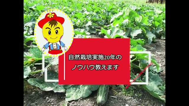 1. 異常気象と冷夏をものともしない自然栽培の土
