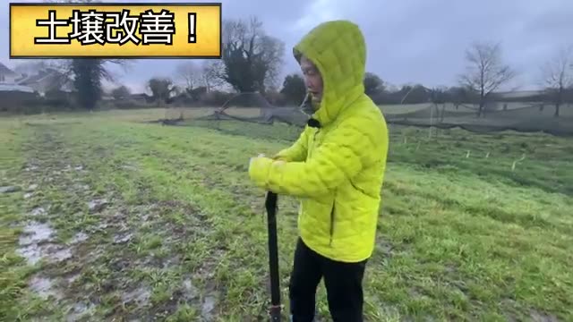 冬の畑で重要な水はけ対策と土の呼吸