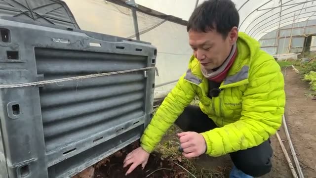 堆肥の本質と役割|栄養ではなく土の保護