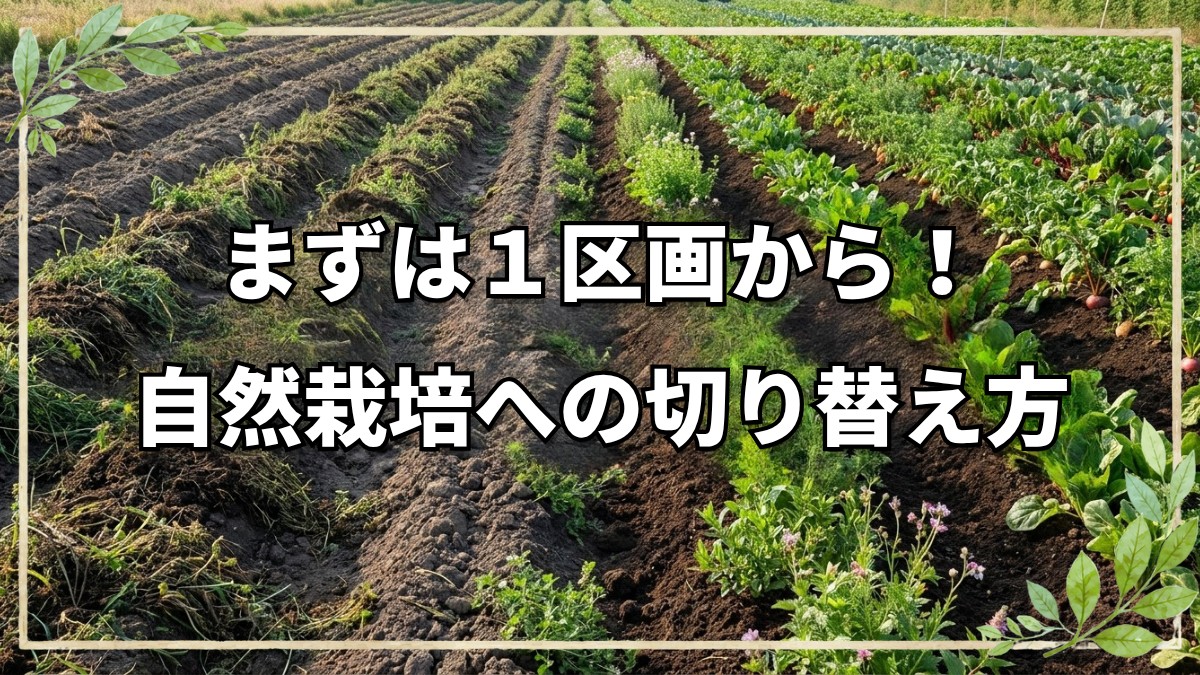 堆肥のある畑を自然農法へ切り替える方法